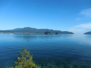 路線バス車内からみた山田湾